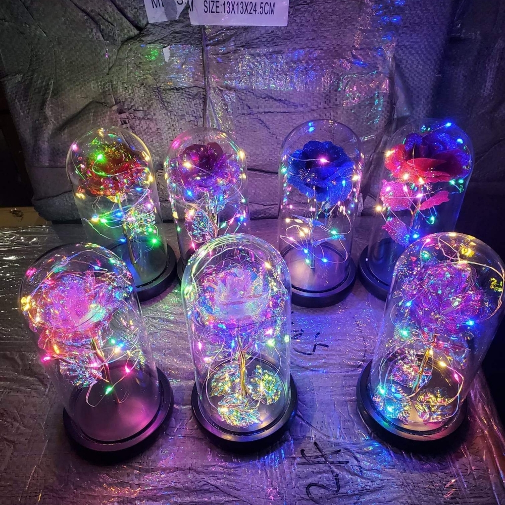 Galaxy glass dome roses each 12.00
